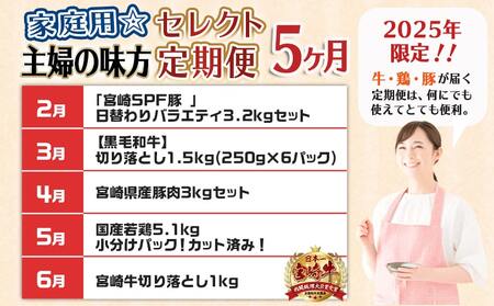 【セレクト定期便】家庭用☆主婦の味方~定期便(5ヶ月)≪2026年お届け≫_T76-MY01