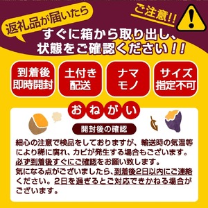 先行受付!【12月お届け】【農家直送】山下農園　熟成紅はるか 10kg_AA-I705-12_(都城市) 都城産 紅はるか S～2Lサイズ混合 山下農園 さつまいも兄弟 長期熟成 甘い