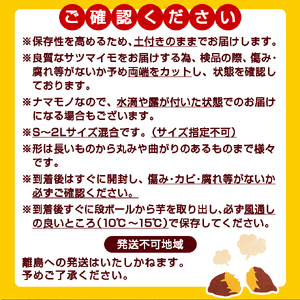 先行受付!【12月お届け】【農家直送】山下農園　熟成紅はるか 10kg_AA-I705-12_(都城市) 都城産 紅はるか S～2Lサイズ混合 山下農園 さつまいも兄弟 長期熟成 甘い