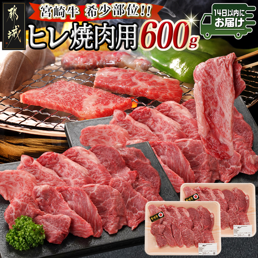 宮崎牛ヒレ焼肉用600g≪みやこんじょ快速便≫_AF-8902-R_(都城市) 宮崎県産宮崎牛 ヒレ焼肉用 焼肉用カット ヒレ肉 冷凍配送