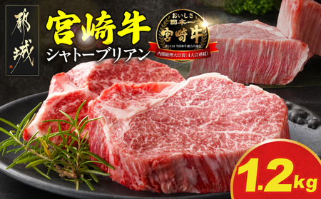 宮崎牛シャトーブリアンステーキ150gx8枚_AK-N201_(都城市) 宮崎県産宮崎牛 シャトーブリアン ステーキ 宮崎牛 ステーキ