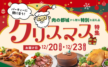 【☆クリスマス☆】国産鶏むね唐揚げ3㎏≪12月20日～23日お届け≫_MJ-1575-OJX