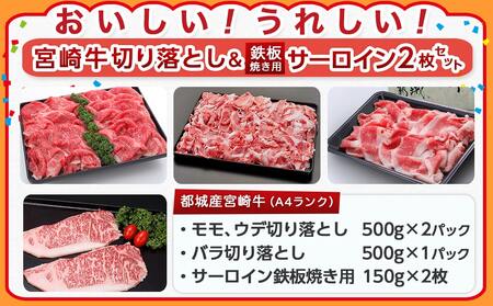 【福袋★2026】宮崎牛切り落とし・鉄板焼き用サーロイン2枚セット_AE-2501-F2026