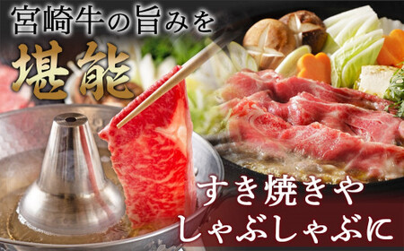 【福袋★2026】宮崎牛&黒豚 すき焼きしゃぶしゃぶ満喫セット_AI-2502-F2026