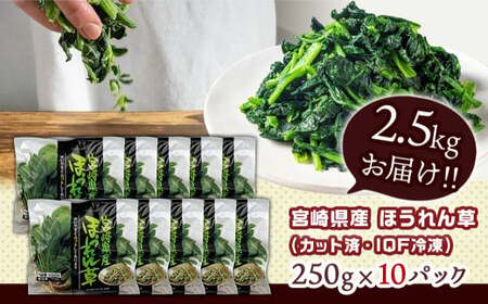 【福袋★2026】宮崎県産(IQF冷凍)ほうれん草2.5kg_AA-1527-F2026