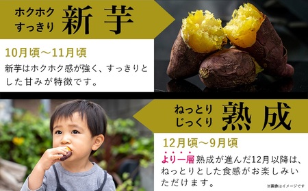 【福袋★2026】島津甘藷 熟成紅はるか 5kg(2L～M)_LD-A701-F2026