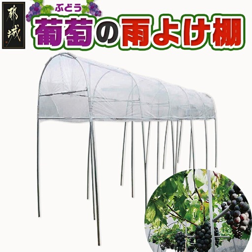 葡萄の雨よけ棚セット_55-J405_(都城市) 葡萄の雨よけ棚セット ぶどう 