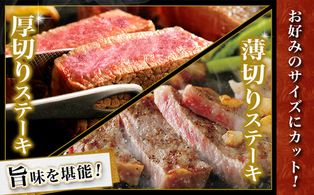 【☆クリスマス☆】宮崎牛サーロインブロック(1kg)≪12月20日～23日お届け≫_38-N401-OJX_(都城市) 宮崎県産 宮崎牛 サーロイン ステーキ 焼肉 BBQ 4等級以上 サシ  ブロック 1㎏ クリスマス