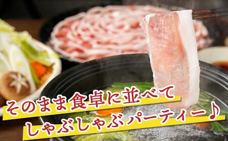 【福袋★2026】観音池ポーク ロースしゃぶしゃぶ〈皿盛〉1.6kg+しゃぶたれ2本_MJ-1564-F2026_(都城市) 都城産ブランド豚 ロースしゃぶしゃぶ 花盛り パーティー 観音池ポーク ブランド豚 しゃぶたれ 福袋