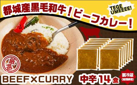 【福袋★2026】カレー倶楽部ルウの26食カレーセット(ビーフ13食&チキン13食)+2食_14-2701-F2026(都城市) ビーフカレー 都城産黒毛和牛使用 チキンカレー 国産鶏使用 チルド食品
