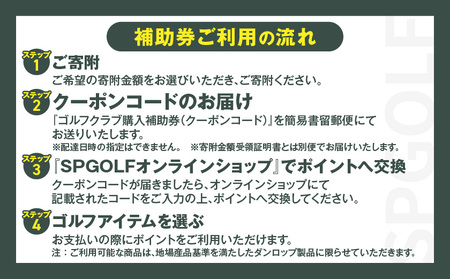 先行受付】ゴルフクラブ購入補助券 300,000円_GI-C701_(都城市