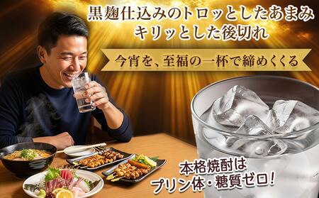 【ちび霧セット】黒霧島25度900mlパック×2本≪みやこんじょ特急便≫_LG-M801_(都城市) 10日以内お届け スピード配送 霧島酒造 黒霧島 本格芋焼酎 25度 900mlパック×2本セット 5合 本格焼酎 いも焼酎 定番 焼酎 お酒 キリボール 宮崎県 都城市