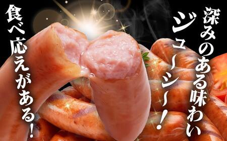 存在感のあるポークソーセージ1kg_AA-N403