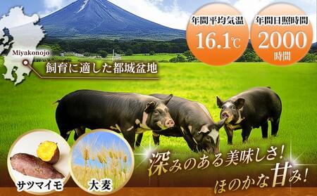 黒豚味噌漬け100g×6枚(真空)_AA-N409