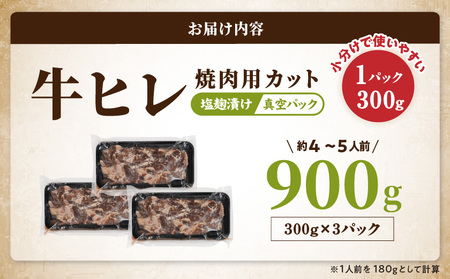牛ヒレ塩麹タレ漬け900g(焼肉用カット)_LG-3330_(都城市) 