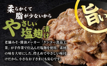 牛タン切り落とし 塩麹タレ漬け1kg_12-3316_(都城市)