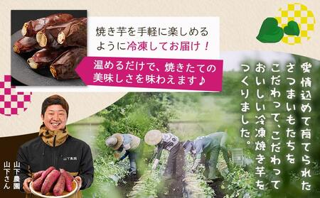 【訳あり】☆おいも職人!甘三郎☆紅はるかの甘熟 蜜焼き芋(冷凍)3kg_12-I703_(都城市) スイーツ ひんやり やきいも 熟成 ねっとり 冷やし焼き芋 冷凍配送 自然解凍 焼きいも 紅はるか