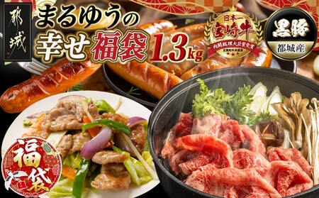 【福袋★2026】まるゆうの幸せ福袋_AC-N407-F2026_(都城市) 宮崎県産 都城産 宮崎牛 牛肉 黒毛和牛 ロース 赤身 黒豚 ウデ/モモ 切り落とし ソーセージ