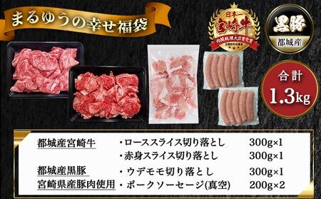 【福袋★2026】まるゆうの幸せ福袋_AC-N407-F2026_(都城市) 宮崎県産 都城産 宮崎牛 牛肉 黒毛和牛 ロース 赤身 黒豚 ウデ/モモ 切り落とし ソーセージ