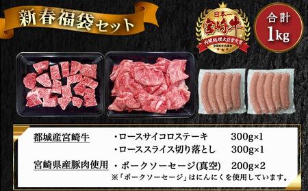 【福袋★2026】宮崎牛ロースのステーキ&スライス福袋セット_AD-N407-F2026_(都城市) 宮崎県産 都城産 宮崎牛 牛肉 黒毛和牛 ロース ステーキ 切り落とし ソーセージ