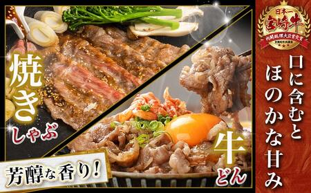 【福袋★2026】宮崎牛ロースのステーキ&スライス福袋セット_AD-N407-F2026_(都城市) 宮崎県産 都城産 宮崎牛 牛肉 黒毛和牛 ロース ステーキ 切り落とし ソーセージ