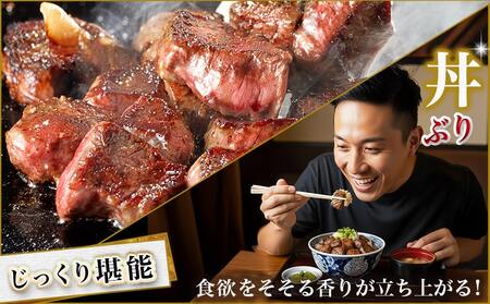 【福袋★2026】宮崎牛ロースのステーキ&スライス福袋セット_AD-N407-F2026_(都城市) 宮崎県産 都城産 宮崎牛 牛肉 黒毛和牛 ロース ステーキ 切り落とし ソーセージ