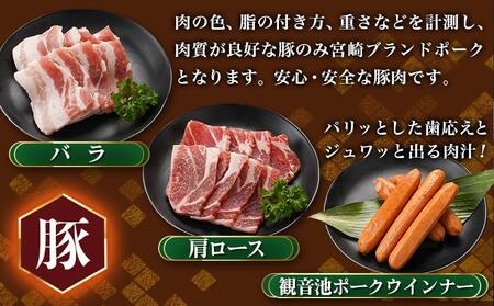 【福袋★2026】焼肉9種盛り(870g)_AF-2603-F2026_( 都城市 ) 国産 宮崎県 黒毛和牛 牛肉 宮崎牛 焼肉 ヒレ カルビ 中落 ホルモン ブランドポーク バラ 肩ロース 若鶏 もも ハラミ ウインナー ギフト