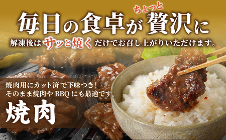 牛ヒレタレ漬け900g(焼肉用カット)≪みやこんじょ特急便≫_LG-3329-Q_(都城市) 