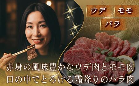 宮崎牛【赤身&霜降り】焼肉セット_16-J701_(都城市) 宮崎県産 宮崎牛 ウデ モモ バラ 焼肉用 600g
