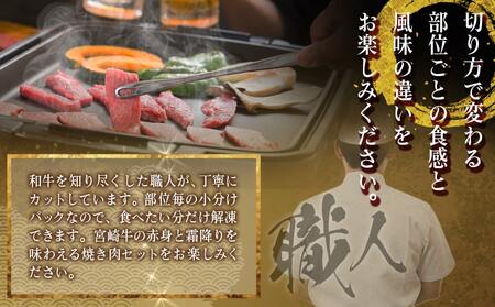 宮崎牛【赤身&霜降り】焼肉セット_16-J701_(都城市) 宮崎県産 宮崎牛 ウデ モモ バラ 焼肉用 600g