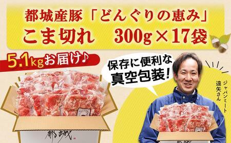 【2026年2月お届け】「どんぐりの恵み豚」こま切れ5.1kg_17-1103-2602