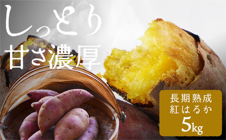 熟成紅はるか5kg&干し芋150g×2袋_MJ-I202_(都城市) 都城産 熟成紅はるか さつまいも 5kg 干し芋 150g スイーツ