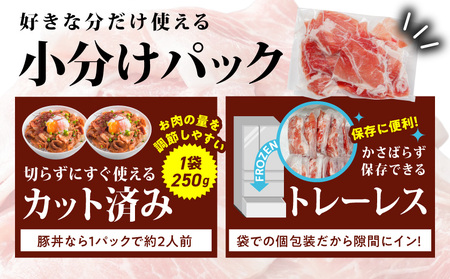【2026年3月お届け】国産豚肉切り落とし5Kg(うま味加工)_MJ-3647-2603