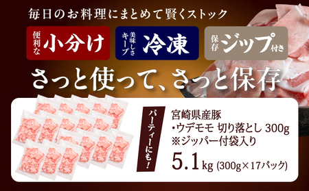 【2026年3月お届け】宮崎県産豚切り落とし5.1kg(ジッパー付袋入り)_18-1507-2603