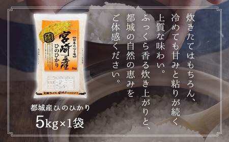 都城産ひのひかり5kg(5kg×1袋)_AO-A701_ お米