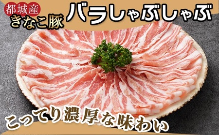 【年内お届け】鍋★きなこ豚しゃぶしゃぶ用食べ比べセット(バラ・ロース・肩ロース・たれ付き)≪2025年12月15日~31日お届け≫_MJ-1212-HNY_(都城市) ブランド豚 きなこ豚 肩ロース バラ肉 ロース 焼きしゃぶ 蒸ししゃぶ タレ