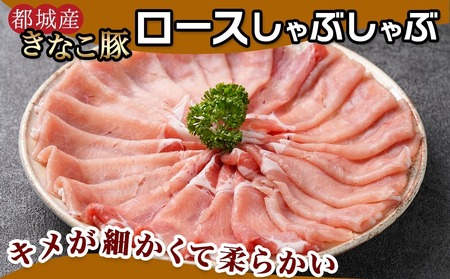 【年内お届け】鍋★きなこ豚しゃぶしゃぶ用食べ比べセット(バラ・ロース・肩ロース・たれ付き)≪2025年12月15日~31日お届け≫_MJ-1212-HNY_(都城市) ブランド豚 きなこ豚 肩ロース バラ肉 ロース 焼きしゃぶ 蒸ししゃぶ タレ