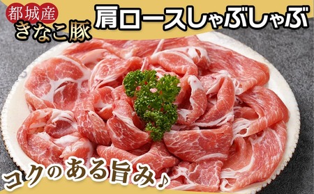 【年内お届け】鍋★きなこ豚しゃぶしゃぶ用食べ比べセット(バラ・ロース・肩ロース・たれ付き)≪2025年12月15日~31日お届け≫_MJ-1212-HNY_(都城市) ブランド豚 きなこ豚 肩ロース バラ肉 ロース 焼きしゃぶ 蒸ししゃぶ タレ