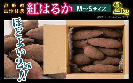 島津甘藷　熟成紅はるか 2kg(M～S)_LB-A701_(都城市) さつまいも 幻のサツマイモ 幻の品種 紅はるか 2kg M～S べにはるか 生芋 ベジエイト 熟成 芋 定番 焼き芋 アウトドア