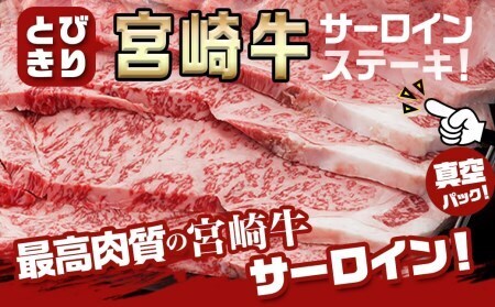 【2026年4月お届け】宮崎牛サーロインステーキ200g×5枚_AE-8904-2604