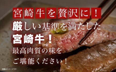 【2026年4月お届け】宮崎牛サーロインステーキ200g×5枚_AE-8904-2604