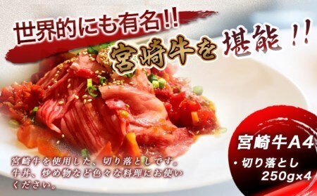 【2026年3月お届け】宮崎牛切り落とし1kg_MJ-8908-2603