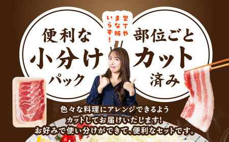 【2026年2月お届け】宮崎県産豚わくわく4.1kgセット(真空)_18-8401-s-2602