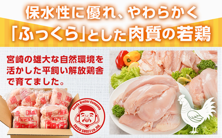 【2026年3月お届け】宮崎県産若鶏 むね肉(12kg)_AC-G301-2603