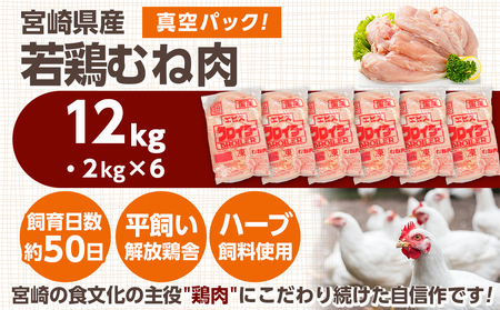 【2026年3月お届け】宮崎県産若鶏 むね肉(12kg)_AC-G301-2603