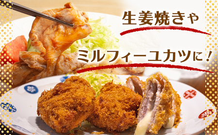 【2026年2月お届け】「クイーンハーブ豚」ウデモモしゃぶしゃぶ1.5kg_AA-2905-2602