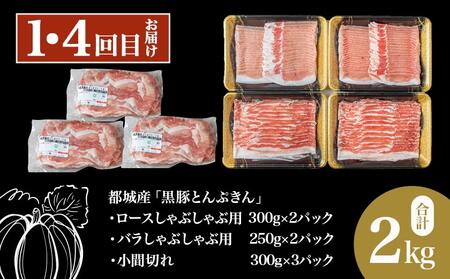 【6回お届け!】「黒豚とんぷきん」定期便≪総重量16kg≫_T90-6-5901_(都城市) 都城産 黒豚とんぷきん しゃぶしゃぶ2kgセット/小間切れ3kg/大盛3kgセット 6ヵ月定期便