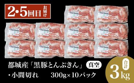 【6回お届け!】「黒豚とんぷきん」定期便≪総重量16kg≫_T90-6-5901_(都城市) 都城産 黒豚とんぷきん しゃぶしゃぶ2kgセット/小間切れ3kg/大盛3kgセット 6ヵ月定期便