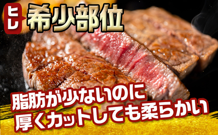 【2026年5月お届け】宮崎牛シャトーブリアンブロック1kg_AJ-8901-2605