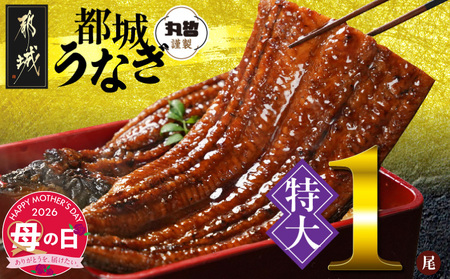 【母の日】宮崎県育ちの【特大】うなぎ蒲焼1尾210g以上≪山椒・たれ付≫≪5月7日～10日お届け≫_11-M301-MG_(都城市) 特大うなぎ蒲焼(有頭) 宮崎県産 真空 山椒・たれ付 母の日 ギフト